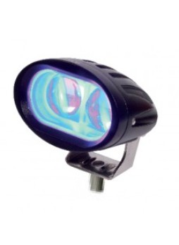 Blue 2 LED Spot Lamp - 10-60V